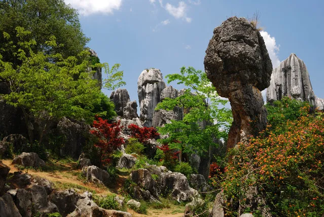 Shilin Stone Forest