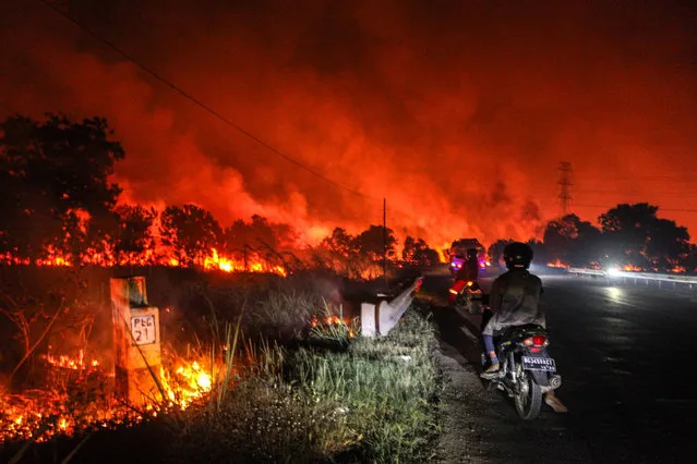 A view of flames of the wildfire that breaks out at Sungai Rambutan regency near main road in Ogan Ilir, South Sumatera, Indonesia on September 14, 2023. Indonesian authorities are struggling to put out forest and land fires that have been engulfing many parts of the country, including fire-prone regions in Sumatra and Borneo, as the country enters the hottest day of this year's El Nino-induced dry season. (Photo by Muhammad A.F/Anadolu Agency via Getty Images)