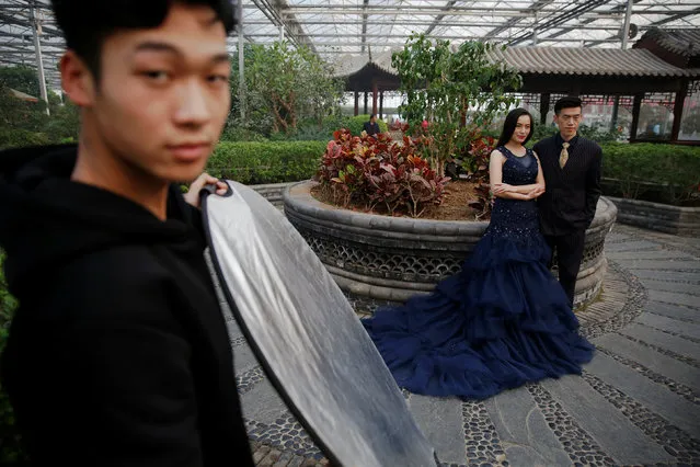 Chaoyang Guo and his fiancee, Haowen Li, pose for their wedding pictures inside the Jiutian Greenhouse in Langfang, Hebei province, as the region goes through the period of extreme air pollution with red alert issued, China December 19, 2016. (Photo by Damir Sagolj/Reuters)