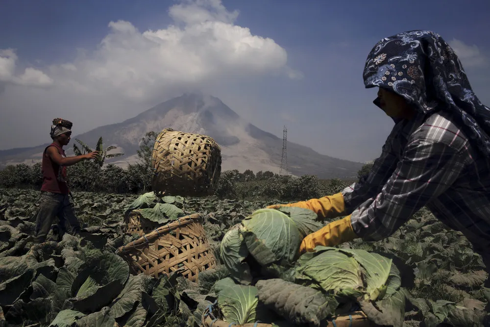 The Eruptions of Mount Sinabung