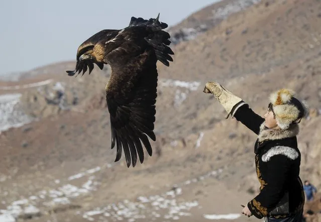 A hunter releases his tamed golden eagle during the traditional hunting contest outside the village of Nura, east from Almaty, Kazakhstan, February 13, 2016. (Photo by Shamil Zhumatov/Reuters)