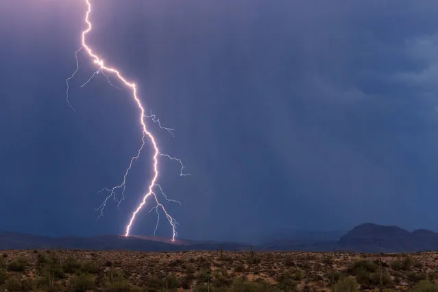 A lightning bolt lands in the Four Peaks Wilderness area northeast of Phoenix, seeming to fork into two directions at the last minute as it strikes the side of a mountain in Phoenix, Arizona, 28 June 2016. (Photo by Mike Olbinski/Barcroft Images)