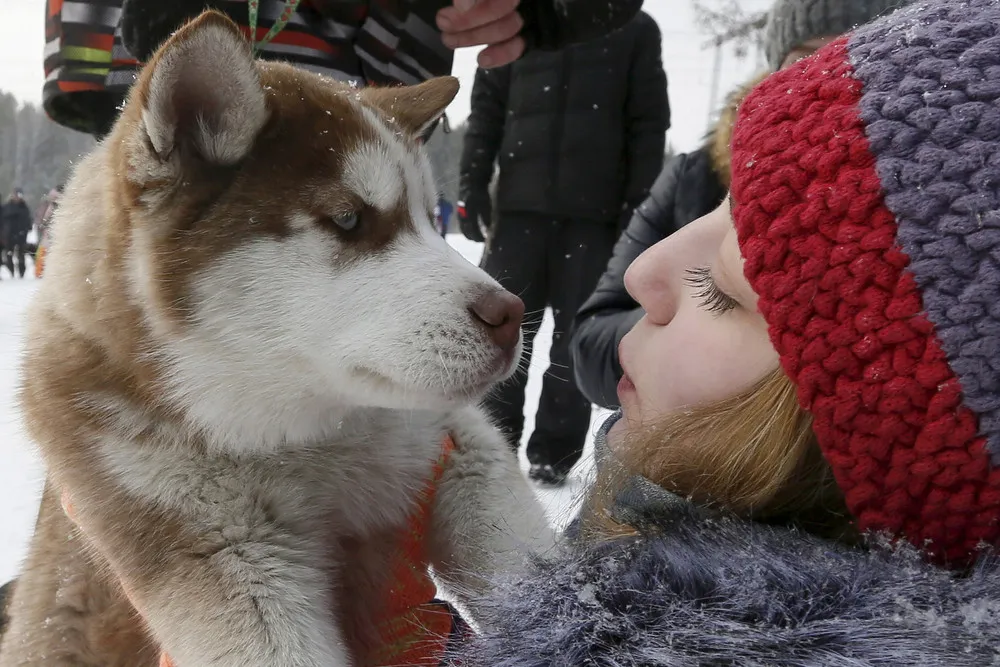 The Day in Photos – February 23, 2016