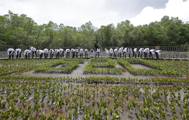 Leaders plant their seedlings during a mangrove planting event at the Tahura Ngurah Rai Mangrove Forest Park as part of the G20 Leaders' Summit in Nusa Dua, on the Indonesian resort island of Bali on November 16, 2022. (Photo by Mast Irham/Pool via AFP Photo)