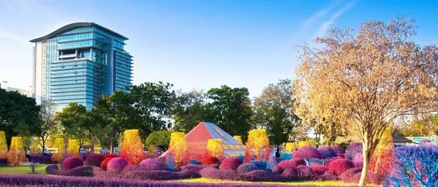 Colourful Campus Of Thailand`s Rangsit University