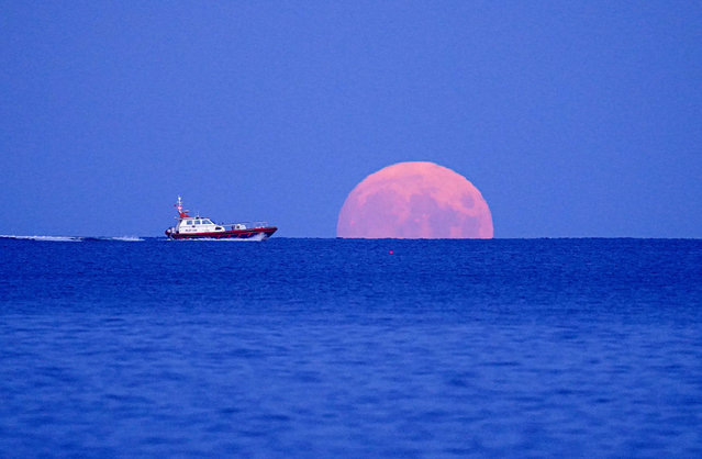 A pilot boat passes the rising Harvest Moon on September 20, 2021 off Swanpool Beach, Falmouth, England. (Photo by Hugh R Hastings/Getty Images)