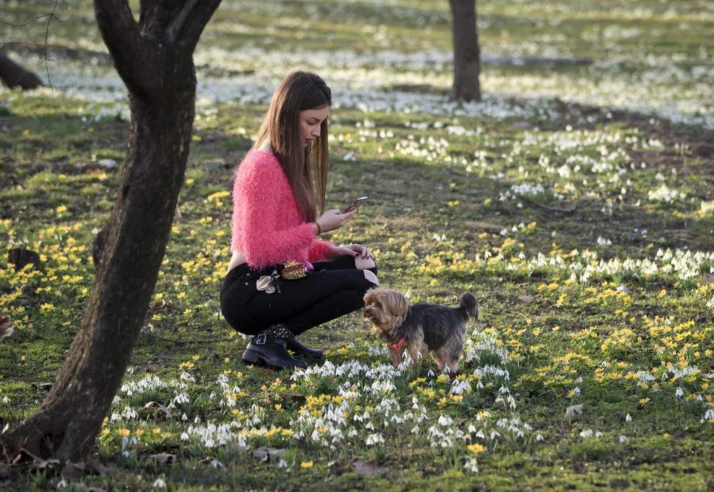 The Day in Photos – March 18, 2016