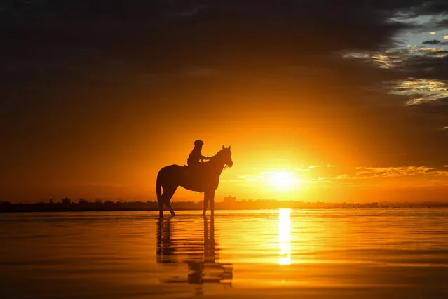 Camille Piantoni riding Cylinder who is preparing for Group One Newmarket Handicap day with a beach session at sunrise at Altona Beach on March 06, 2024 in Altona North, Australia. (Photo by Vince Caligiuri/Getty Images)