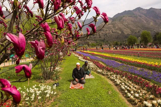 Kashmiri Muslims offer afternoon prayers inside the Indira Gandhi Memorial Tulip Garden in Srinagar, the summer capital of Indian Kashmir, 03 April 2024. Spread over an area of about 12 hectares, the Tulip Garden in Kashmir, featuring some 1.7 million tulips with 73 varieties of different colors, is one of the largest tulip gardens in Asia and has become a prime tourist attraction. (Photo by Farooq Khan/EPA)
