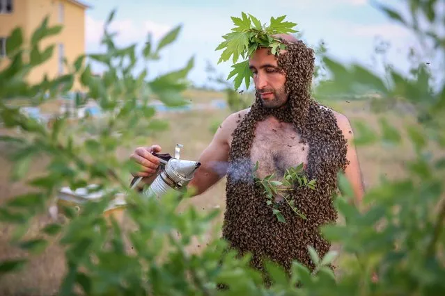 Beekeeper Abdulvahap Semo performs his third attempt to set a bee wearing record in the Guinness World Records in Turkey's eastern Van province on June 20, 2019. Abdulvahap attracted 10 kilograms of bees during his attempt. He attracted 6 kilograms of bees in his second attempt in 2016. Firstly he calmed down the bees with a smoke he prepared then he covered his body with bees by grabbing them from the bee hive. (Photo by Ozkan Bilgin/Anadolu Agency/Getty Images)