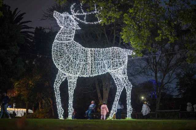 Children play under a giant light installation at Johannesburg, South Africa, city zoo Sunday December 12, 2021. The display is part of the Christmas celebration's Festival of Lights. (Photo by Jerome Delay/AP Photo)