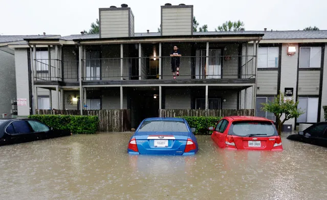 A resident looks out from the second floor as floodwaters surround his apartment complex Monday, April 18, 2016, in Houston. (Photo by David J. Phillip/AP Photo)