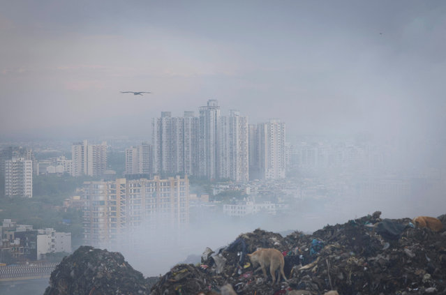 Residential buildings are engulfed in smoke from burning garbage following a fire at the Ghazipur landfill site, in New Delhi, India on April 22, 2024. (Photo by Adnan Abidi/Reuters)