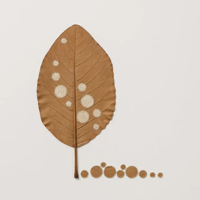 Crocheted Leaf Art By Susanna Bauer