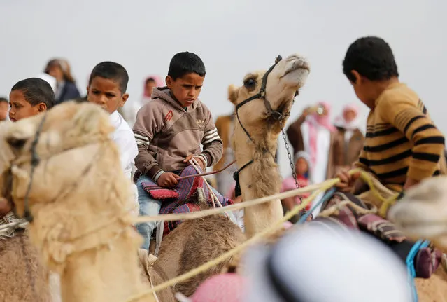 Jockeys, most of whom are children aged 11 or under, ride their mounts as they prepare to compete in the International Camel Racing festival at the Sarabium desert in Ismailia, Egypt, March 21, 2017. (Photo by Amr Abdallah Dalsh/Reuters)