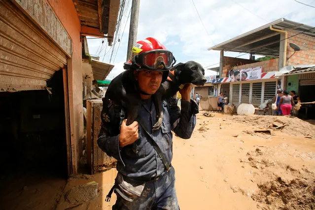 A rescuer carries his dog on a street destroyed after flooding and mudslides caused by heavy rains leading several rivers to overflow, pushing sediment and rocks into buildings and roads, in Mocoa, Colombia April 3, 2017. (Photo by Jaime Saldarriaga/Reuters)