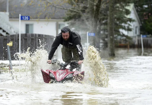 A homeowner drives his ATV down the flooded Chemin Belisle on the shore of the Ottawa River in Luskville, Quebec on May 7, 2017. Flooding caused by unusually persistent rainfall has driven nearly 1,900 people from their homes in 126 municipalities in the Canadian province of Quebec. (Photo by Sean Kilpatrick/AFP Photo)