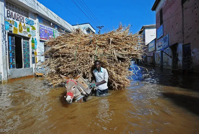 A man walks his donkey and its load through flooded streets Beledweyne, north of Mogadishu on May 26, 2016. Hundreds of families have been forced out of their homes following flash floods in Beledweyne after torrential rains pounded the area in the last few days. The heavy rains led to the bursting of River Shabelle which caused massive floods in residential areas along the river. (Photo by Mohamed Abdiwahab/AFP Photo)