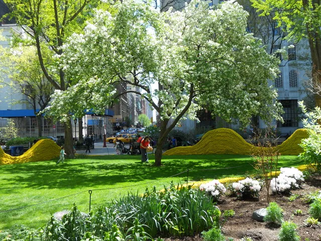 Red, Yellow, and Blue – A Cool Art Installation in Madison Square Park