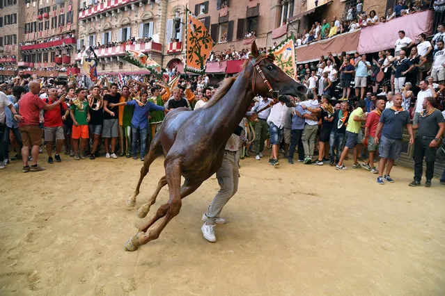 A member of the “Selva” (Forest) parish is seen with horse Remorex after winning the historical Palio of Siena horse race, in Siena, Italy on August 16, 2019. (Photo by Alberto Lingria/Reuters)