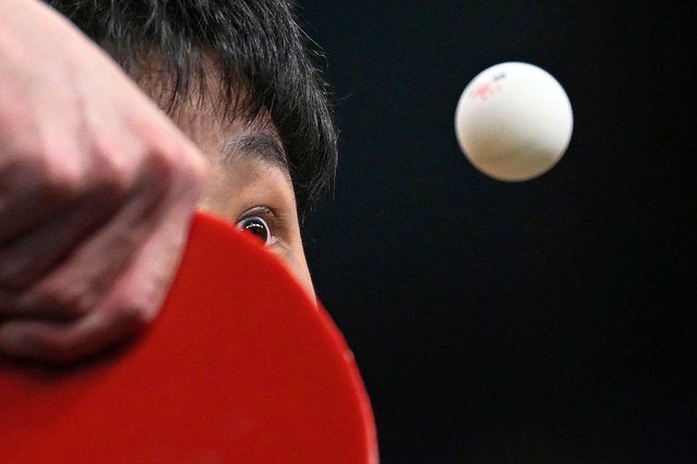 Japan's Tomokazu Harimoto eyes the ball during his men's table tennis singles match in the team semifinal between Sweden and Japan at the Paris 2024 Olympic Games at the South Paris Arena in Paris on August 7, 2024. (Photo by Wang Zhao/AFP Photo)