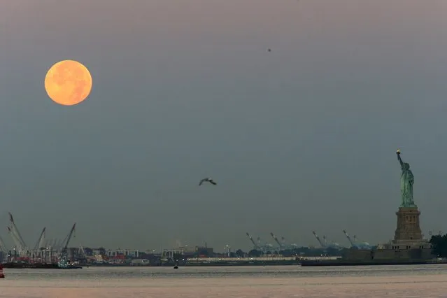 The effect known as Blue Moon is seen next to the Statue of Liberty in New York July 31, 2015. The Blue Moon effect refers to the second full moon in a calendar month, local media informed. (Photo by Eduardo Munoz/Reuters)