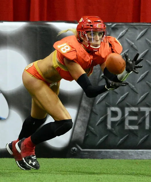 Cynthia Schmidt #18 of the Las Vegas Sin catches a pass to score an extra point against the Green Bay Chill during their game at the Thomas & Mack Center on May 15, 2014 in Las Vegas, Nevada. Las Vegas won 34-24. (Photo by Ethan Miller/Getty Images)