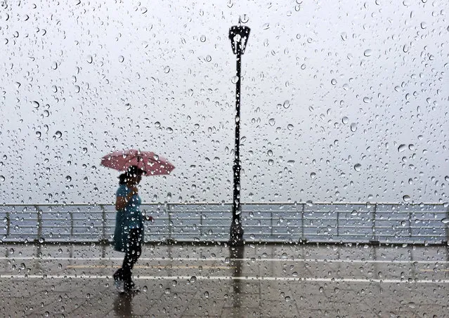 A Lebanese woman takes shelter under her umbrella as she walks on the Corniche, or waterfront promenade, in Beirut, Lebanon, Thursday May 8, 2014. Severe weather and heavy rains affected parts of the Middle East on Thursday including Israel, Jordan and Lebanon. Rains in Israel forced the evacuation of dozens of American tourists who were stranded overnight in a parking lot in the Negev desert, while a new refugee camp for Syrians was flooded in Jordan. (Photo by Hussein Malla/AP Photo)