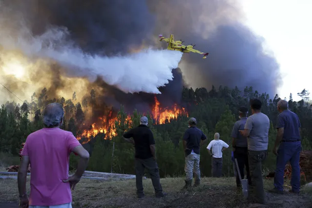 Villagers watch a firefighting plane drop water to stop a raging forest fire reaching their houses just a few dozen meters away in the village of Chao de Codes, near Macao, central Portugal, Wednesday, August 16, 2017. Giant clouds of gray smoke are cloaking the horizon in parts of central Portugal as fast-moving wildfires continue to strain emergency responders. (Photo by Armando Franca/AP Photo)
