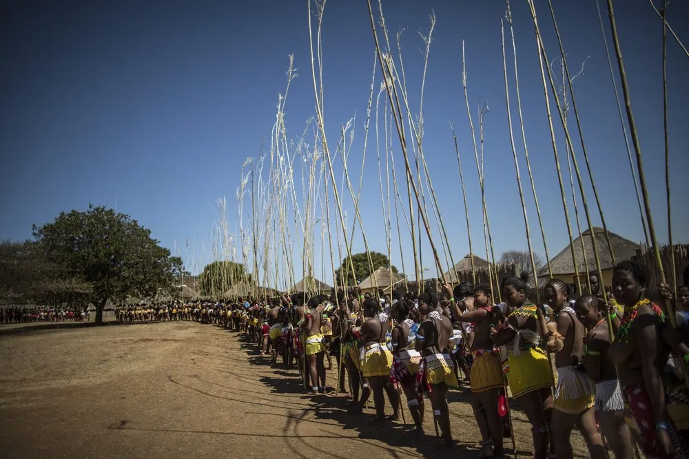 Reed Dance in Nongoma