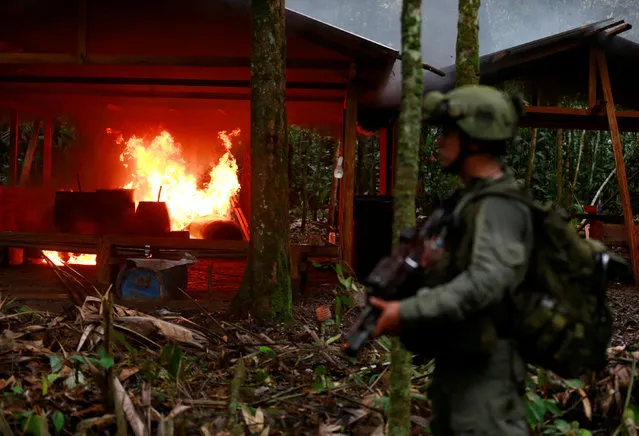 A Colombian anti-narcotics policeman stands guard after burning a cocaine lab, which police said belongs to criminal gangs, in a rural area of Calamar in Guaviare state, Colombia, August 2, 2016. (Photo by John Vizcaino/Reuters)
