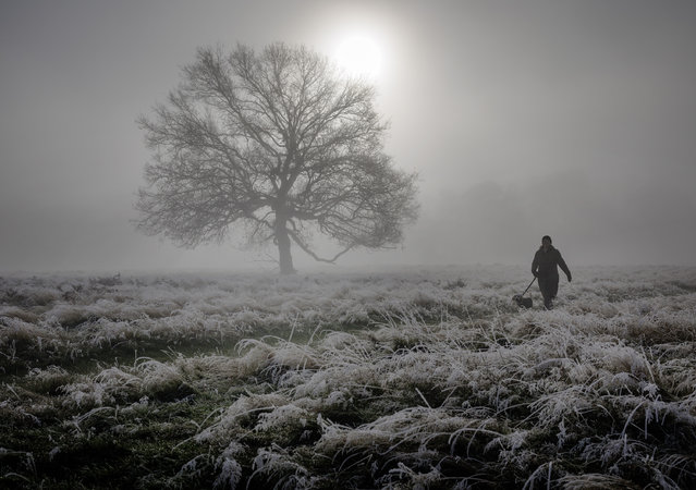 A frosty and foggy start to the day at Bushy Park in south west London on November 28, 2024. (Photo by Peter Macdiarmid/London News Pictures)