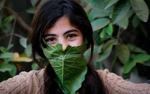 A Palestinian child poses with a makeshift mask made of cabbage while cooking at home with her family in Beit Lahia in the northern Gaza Strip on April 16, 2020 amid the coronavirus COVID-19 pandemic. (Photo by Mohammed Abed/AFP Photo)