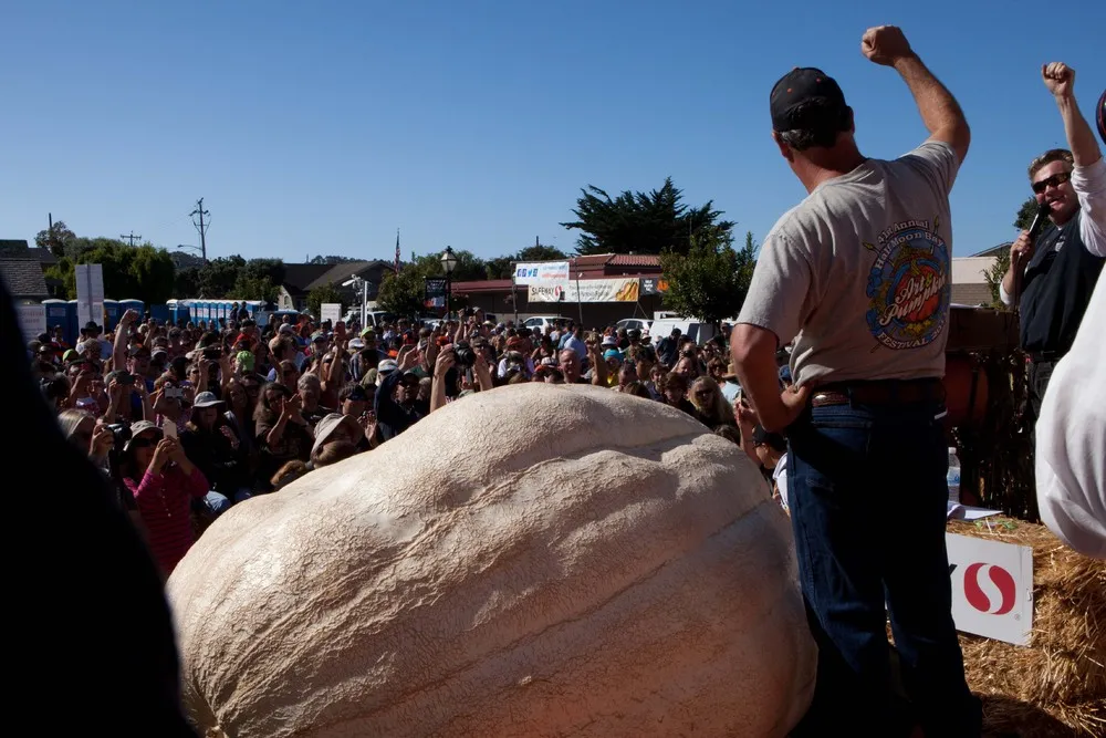 California Pumpkin Contest Winners