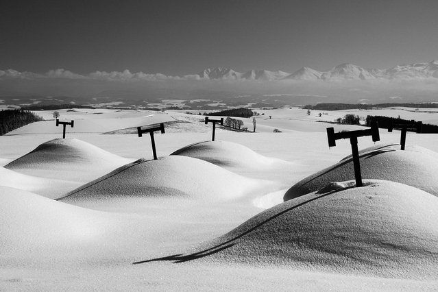 “Farmers' Wisdom: Farmers who live in Hokkaido invented this in their wisdom. Their potatoes, which pass the winter sleeping under snow, increase their sugar content. The part which remains visible here is a t-shaped pipe for releasing gas emitted by the potatoes”. (Photo and comment by Kent Shiraishi/National Geographic Photo Contest via The Atlantic)