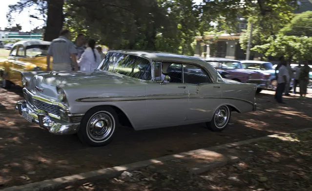 In this October 17, 2014 photo, a man drives a classic American car after exhibition of antique classic cars in Havana, Cuba. While the U.S. embargo that took effect in 1961 stopped the flow of new cars, and most parts, a few Cubans now manage to bring in replacement parts when friends or family visit from the U.S. (Photo by Franklin Reyes/AP Photo)