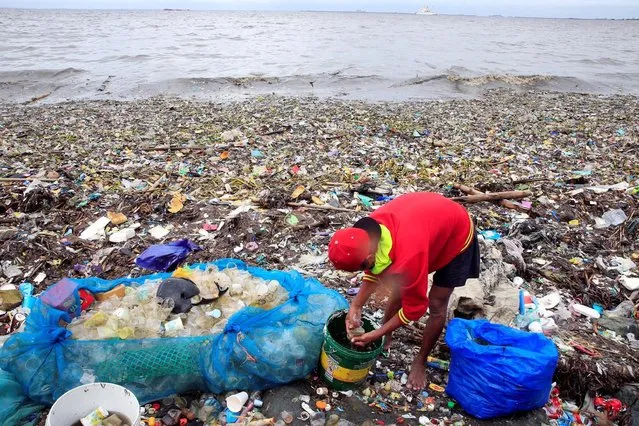 Scavengers clean plastic cups collected from rubbish washed ashore due to strong waves brought about by monsoon rains along the Manila bay, metro Manila, Philippines, August 8, 2016. (Photo by Romeo Ranoco/Reuters)