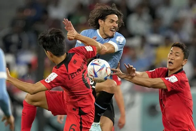 Uruguay's Edinson Cavani, center, fights for the ball with South Korea's Hwang In-beom, left, and Jung Woo-young during the World Cup group H soccer match between Uruguay and South Korea, at the Education City Stadium in Al Rayyan , Qatar, Thursday, November 24, 2022. (Photo by Martin Meissner/AP Photo)