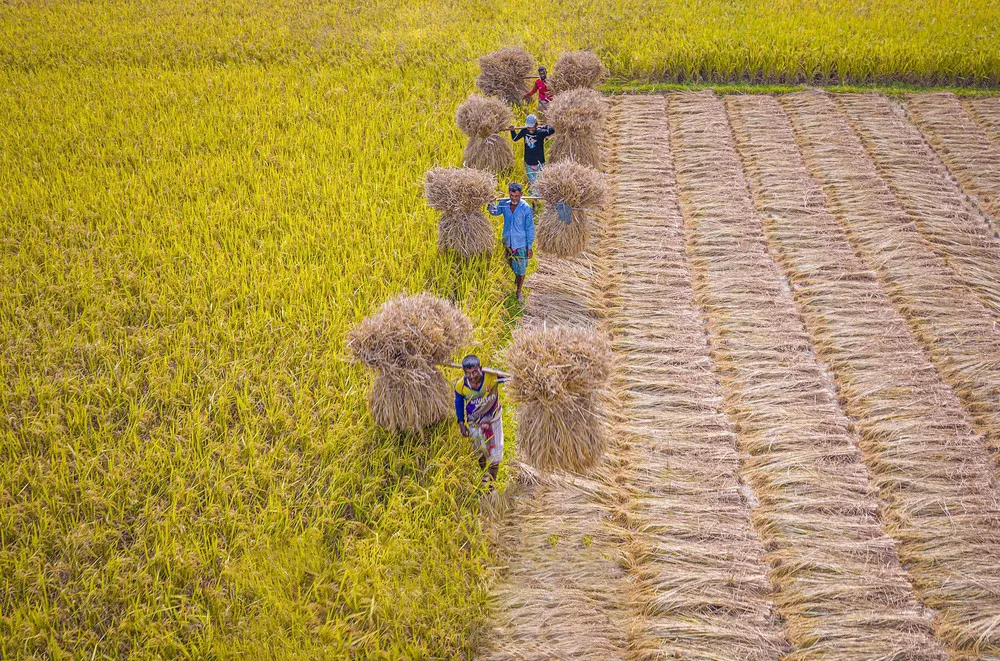 A Look at Life in Bangladesh