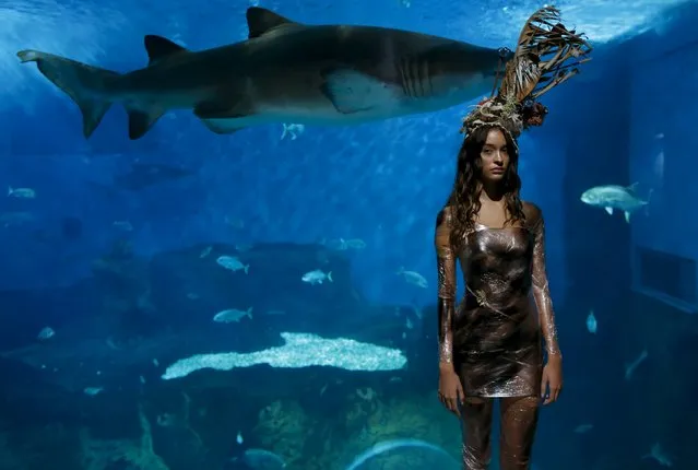 A model wearing a creation by Luis Benitez poses during an urban shoot as part of Andalucia de Moda (Andalusia Fashion) at the aquarium of Seville, southern Spain, November 11, 2015. (Photo by Marcelo del Pozo/Reuters)