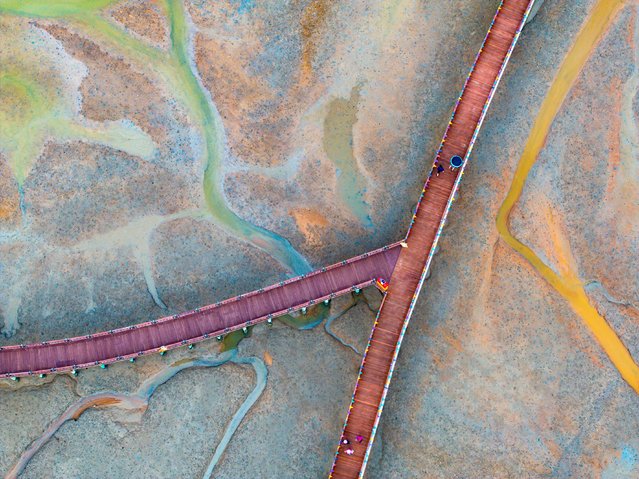 This drone shot of the tidal flats in Haeje-myeon, Muan County, South Jeolla Province in September 2025. The surface of the tidal flats has taken on a yellowish-brown hue as the loess has seeped into the seawater. The mixture of turfgrass and various algae (green, brown, and blue-green algae) has created a fusion of red, green, and gray hues. The drainage pattern along the shallow waterways creates an abstract landscape, with waterways branching out like branches. (Photo by Kim Young-geun)