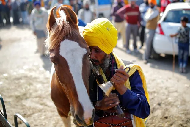 A Nihang (Sikh warrior) kisses his horse at the site of a protest against the newly passed farm bills at Singhu border near New Delhi, India, December 14, 2020. (Photo by Adnan Abidi/Reuters)