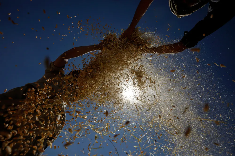 A Look at Life in Yemen