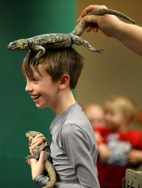 John Comey holds a chuckwalla lizard while Richard Ritchey places another chuckwall on his head at the Springfield Public Library, Tuesday, December 22, 2015, in Springfield, Ore. Ritchey brought his menagerie of snakes, lizards and alligators for two shows that allowed children to get a close up look at the world of reptiles. (Photo by Brian Davies/The Register-Guard via AP Photo)