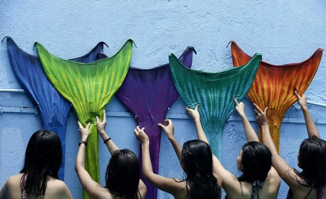 Filipino mermaid swimming students hang their tails up to dry after a lesson by the Philippines Mermaid Swimming Academy at Dive Republic pool in Quezon City, eastern Manila, Philippines, 15 June 2013. The Philippine Mermaid Swimming Academy (PMSA) was created in 2012 in Boracay by Normeth Preglo of The Philippines and US swimming instructor Djuna Rocha. The swimming lessons were brought to Manila in April 2013. The price for a two-hour class is 37 US dollars. (Photo by Dennis M. Sabangan/EPA)
