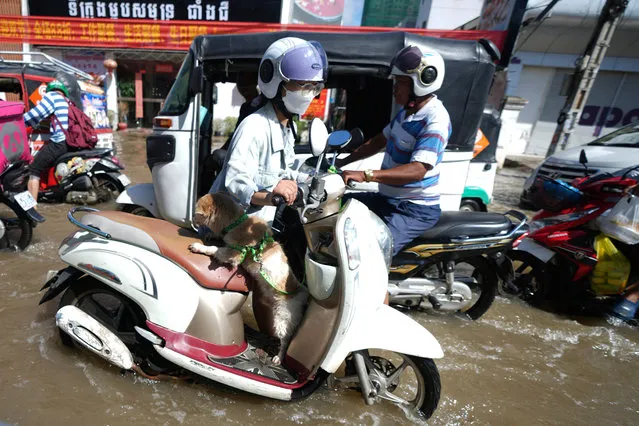 A woman drives a motorbike through a flooded road following recent rains in downtown Phnom Penh, Cambodia, Tuesday, October 24, 2023. (Photo by Heng Sinith/AP Photo)