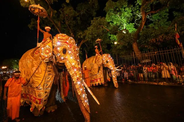 Decorated elephants walk past the historic Buddhist Temple of the Tooth during a procession celebrating the Esala Perahera festival in the ancient hill capital of Kandy on August 29, 2023. (Photo by Ishara S. Kodikara/AFP Photo)