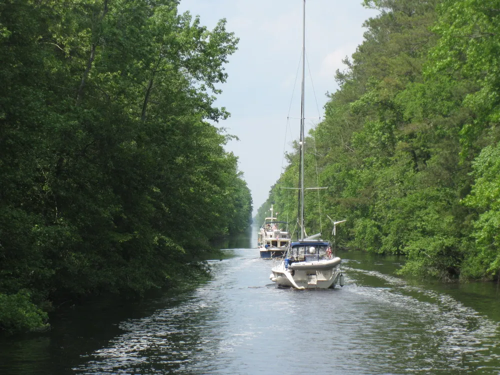 The Great Dismal Swamp