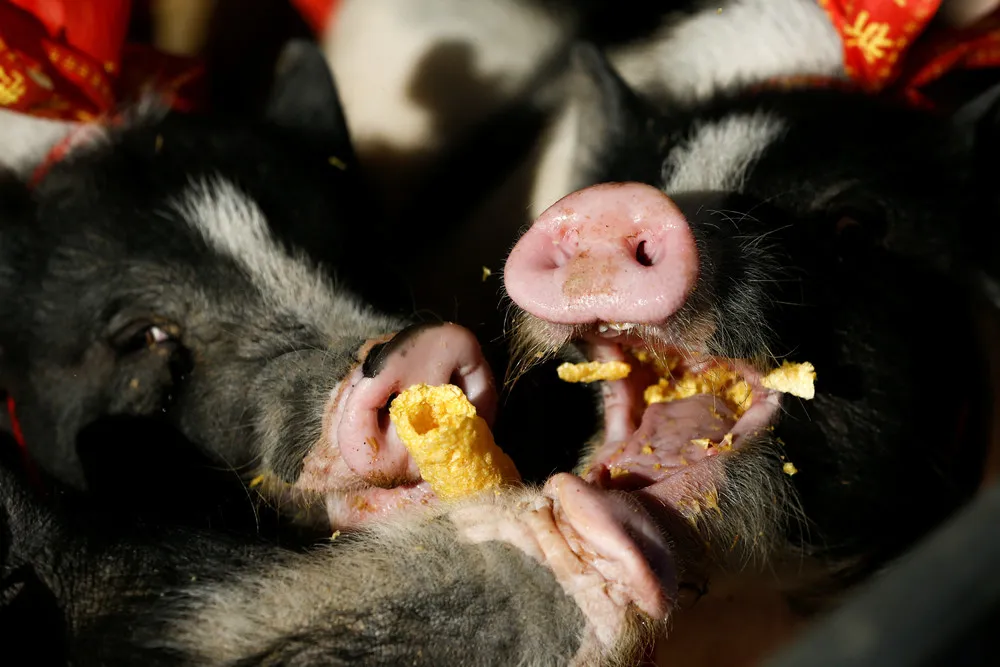 A Look at Life in China