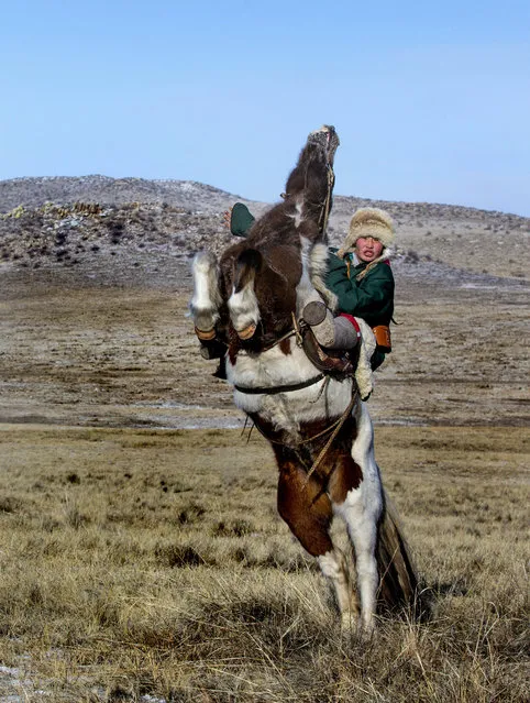 A Mongolian Horseman riding their horse. (Photo by Batzaya Choijiljav/Caters News)